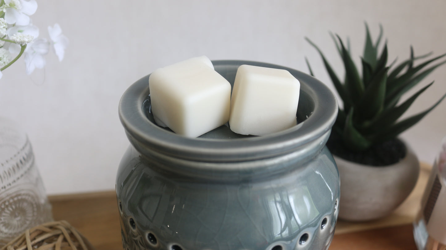 Ceramic Electric Wax Melt Warmer